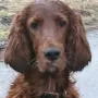 Nana bald 6 Jahre