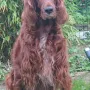 Nana 9 Jahre alt