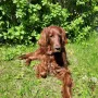 Nana 10 Jahre