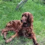 Nana im Alter von 11 Jahren