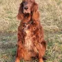 Nana in Kürze 12 Jahre