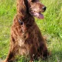 Nana 12 Jahre 