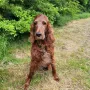 Nana 13 Jahre