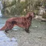 Nana 13 Jahre