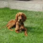 Neila ist schon ein kleines Mädchen.