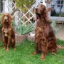 Neila zu Besuch bei ihrem Vater Herr Werner, im Oktober 2012.