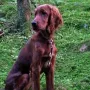 Neila im Alter von 5 Monaten