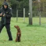 Sitz mit umkreisen, perfekt..