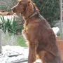 Neila wartet auch auf den Frühling.