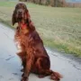 Neila im Januar 2014