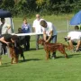 Neila an der CAC Forst 2014