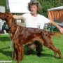 CAC Forst 2003