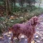 Super schaut er aus unser "Rentner"