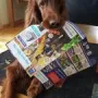 Yankee ist noch immer fleißig im Apport