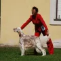 Texas in Pose.