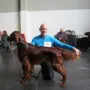 Owen an der CACIB Nürnberg 2014