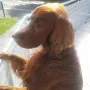 Owen, an allem interessiert