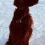 Owen im Alter von 9 Jahren