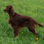 Auch in der Naturt klappt der Fototermin!