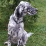 Tolle Maus..