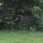 Ja, und da ist er.....