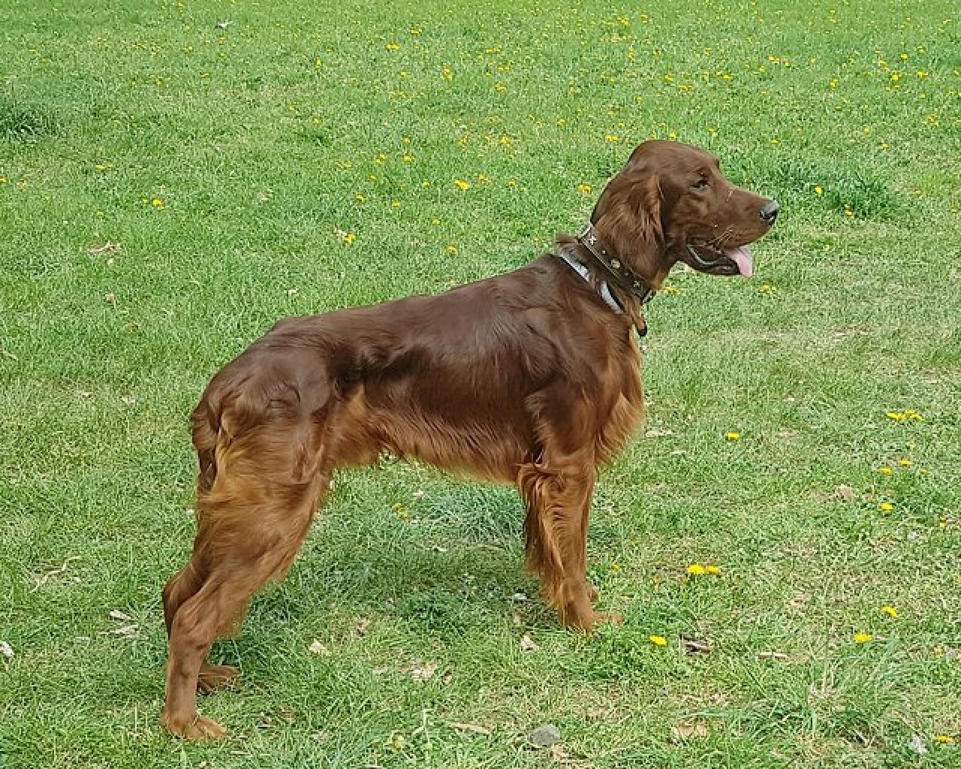 Paco Rabanne bald 6 Jahre alt