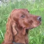 Sie ist jetzt schon 6,5 Jahre alt.