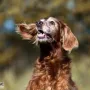 Yaska mit 13 Jahren
