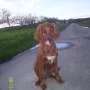 Pitt ist jetzt fast 5 Monate alt.