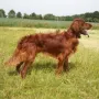 Toll du Bub, mit knapp 1 Jahr