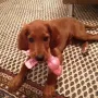 Paula und ihr Lieblingsspielzeug.