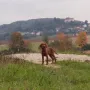 Wunderschön....