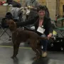 Prada an der CACIB Nürnberg 2014
