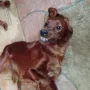 Prada, wie sie lacht!!