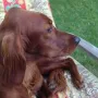 Prada im Urlaub