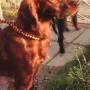 Prada war wieder mal im Urlaub