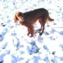 Auch da gibt es jetzt Schnee