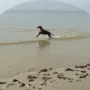 Prada.. immer im Urlaub!!