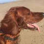 Prada, mal nicht im Urlaub..