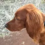 Oh, das Mädchen hat aber Haare bekommen...
