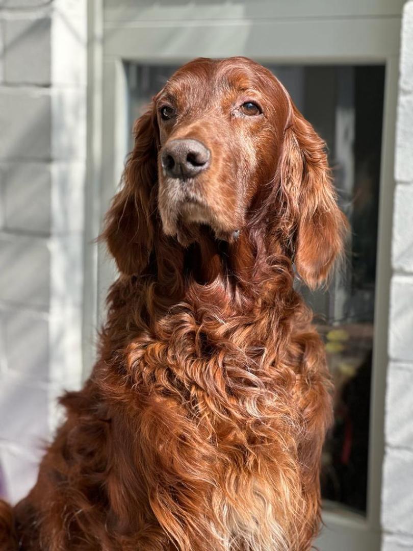 Quinn 10 Jahre