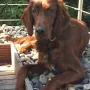 Quinn genießt die Sonne