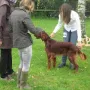 Qing Perro an der CAC Kösching 2014