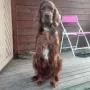 Quartus auf der Terrasse