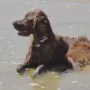 Qurina schon wieder mal im Urlaub