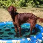 Im Sommer 2014 muss man schon das Wasser mal genießen..