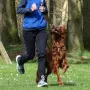 Quiana ist im Hundesport sehr aktiv.