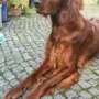 Quiana, sehr interessiert