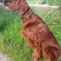 Quiana im Sommer 2016