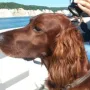 Quiana bei ihrer ersten Schiffsreise